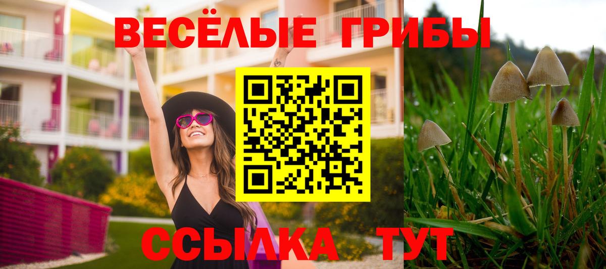 Коркино  наркота  Вход с VPN  Псилоцибиновые грибы прущие грибы 